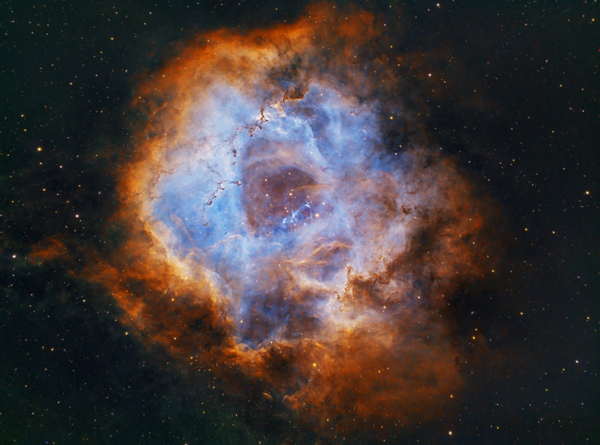 Nebulosa Roseta